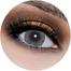 Lareen Wolf Gray Color Contact Lenses image