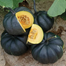 Laskar Pumpkin Black Seeds 10gm, Imported - Brand Pack For Gardening image