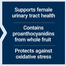 Life Extension Optimized Cran-Max Cranberry Whole Fruit Concentrate 500 mg 60 Veg Capsules image