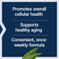 Life Extension Senolytic Activator 36 Veg Capsules -522005629 image