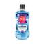 Listerine Tartar Protection Mouthwash 750 ml W. Free 250 ml image