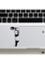 DDecorator Little Panda (Left) Laptop Sticker image