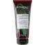 Loreal Botanicals Coriander Conditioning Balm Tube 200 ml (UAE) - 139700574 image