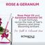 Loreal Botanicals Rose and Geranium Radiance Shampoo Pump 400ml (UAE) - 139700561 image