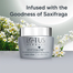 Lotus Herbals White Glow Skin Whitening and Brightening Nourishing Night Crème 60 gm image