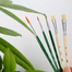 M And G Water Brush Set Bristles And Nylon Wools - 5 Pcs image
