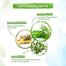 Mamaearth Tea Tree Hair Oil with Tea Tree and Ginger Oil for Dandruff Free Hair - 250ml image