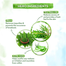 Mamaearth Tea Tree Natural Face Wash 100 ml image