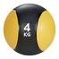 Medicine Ball-4 kg ( Multicolour) image