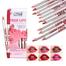 Menow True Lip Liner Pencil - 12 Pcs image