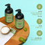 Mielle Rosemary Mint Strengthening Shampoo - 355ml image