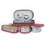 Milton Corporate Lunch 3 Stainless Steel Lunch Box- Red Color image