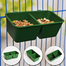 Mini 2 in 1 Feeding pot Dual Feeding Chamber Mixed Color (4inch) - 5Pcs image