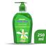 Minister Safety Plus Hand Wash Pump (Lemon Fresh) - 200 Plus 50 Ml image