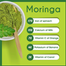 TopGrain Moringa Powder 200gm image