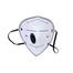 Mouth Mask PM2.5 Anti Dust Pollution (Black Color) image