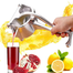 Multifunctional Real Stainless Steel Manual Juicer image