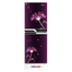 MYONE MY-1G5G Refrigerator - 175 Liter - PERFUME LILY BLACK MATCH image