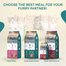 Mystic Low Grain Kitten Chicken Dry Cat Food 500 gm image