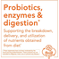 NOW Inulin Prebiotic Pure Organic Powder 227 gm image