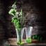 Nachtmann Crystal Spring Flower Vase 2 pcs set Green - 103594 image