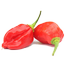 Naga Viper Chili Re-Pack - 5Pcs image