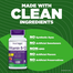 Natrol Vitamin B12 Fast Dissolve Strawberry Flavor 5000mcg - 100 Tablets image