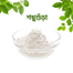 Nature Leaf Conch Shell Powder (Shongkho Gura) - 100 gm image
