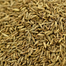 Nature Leaf Cumin Seed (Jira) Whole - 200 gm Jar image