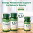 Nature’s Bounty Vitamin B6 100mg – 100 Tablets image