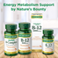 Nature’s Bounty Vitamin B-12 500 mcg 100 Tablets image
