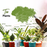Brikkho Hat New Home Indoor Pack-1 (10 Plants) (Red Rubber Plant ZZ, Green Spider Plant, Snake Green Jade Plant, Fairy Castle Cactus, Areca Palm, Money Plants, Lucky Bamboo, Lemon Lime Philodendron) image