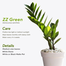 Brikkho Hat New Home Indoor Pack-1 (10 Plants) (Red Rubber Plant ZZ, Green Spider Plant, Snake Green Jade Plant, Fairy Castle Cactus, Areca Palm, Money Plants, Lucky Bamboo, Lemon Lime Philodendron) image