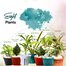 Brikkho Hat New Home Indoor Pack -2 (8 Plants) (Spider Plant, Snake Green, Jade Plant, Fairy Castle Cactus, Areca Palm, Money Plants, Lucky Bamboo, Lemon Lime Philodendron) image