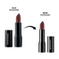 Nirvana Color Matte Color Bullet – Burnt Sienna 5 gm image