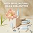 Nivea Hydro Care With Natural Oils SPF 15 Lip Balm (5.5ml) image