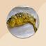 Nona Ilish Shutki Fish / Dry Fish Regular Size image