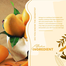Noursing Mango Bleach Cream – 300gm image