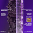 OGX Biotin And Collagen Shampoo 385ml image