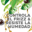 OGX Hydrate Plus Defrizz Kukui Oil Shampoo 385 ml | USA image