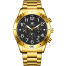 Golden Black