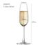 Ocean Classic Flute Champagne 185ml 6 pcs set - 1F07 image