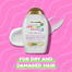 Ogx Damage Remedy Plus Coconut Miracle Oil Shampoo 385 ml image