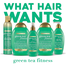 Ogx Green Tea Fitness Shampoo 385 ml image