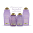 Ogx Hydrate And Enhance Lavender Luminescent Platinum Shampoo 385ml image