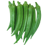 Hybrid Bhendi Okra Seeds image