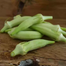 Hybrid Bhendi Okra Seeds image