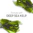 Olay Cleansing Infusion Deep Sea Kelp Body Wash 400 ml (UAE) image