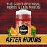 Old Spice After Hours Intrigue and Spice Stick Deodorant 85 gm (UAE) image