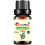 Olive Essential Oil -10ml image